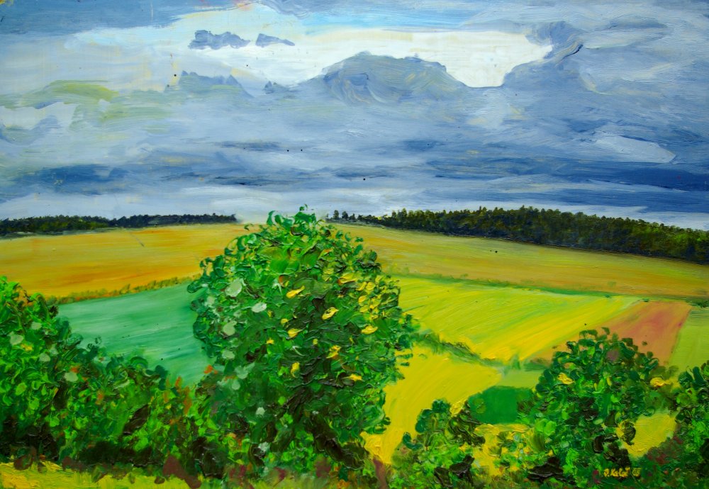 2008 — (8) (8) Za Rychnovem k Solnici, A,O,S, 33,5x50cm